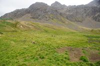 
DSC00135